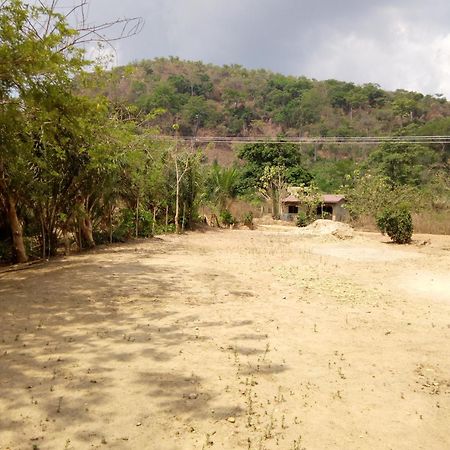 Wli Waterfalls Inn Wli Afegame Exterior foto