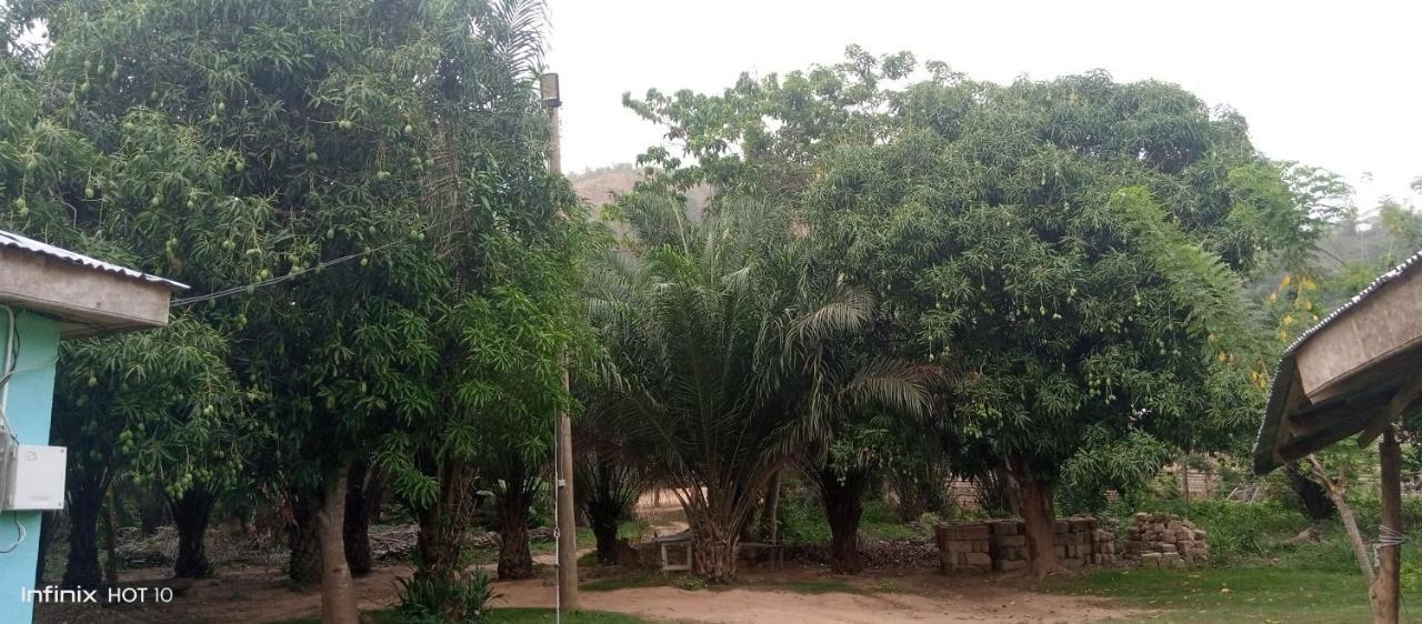 Wli Waterfalls Inn Wli Afegame Exterior foto