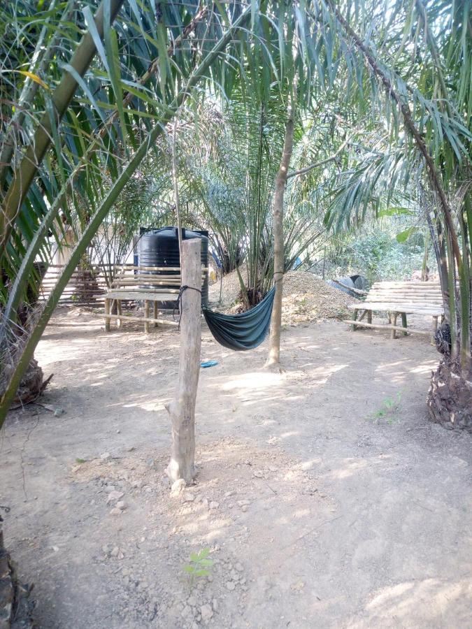 Wli Waterfalls Inn Wli Afegame Exterior foto